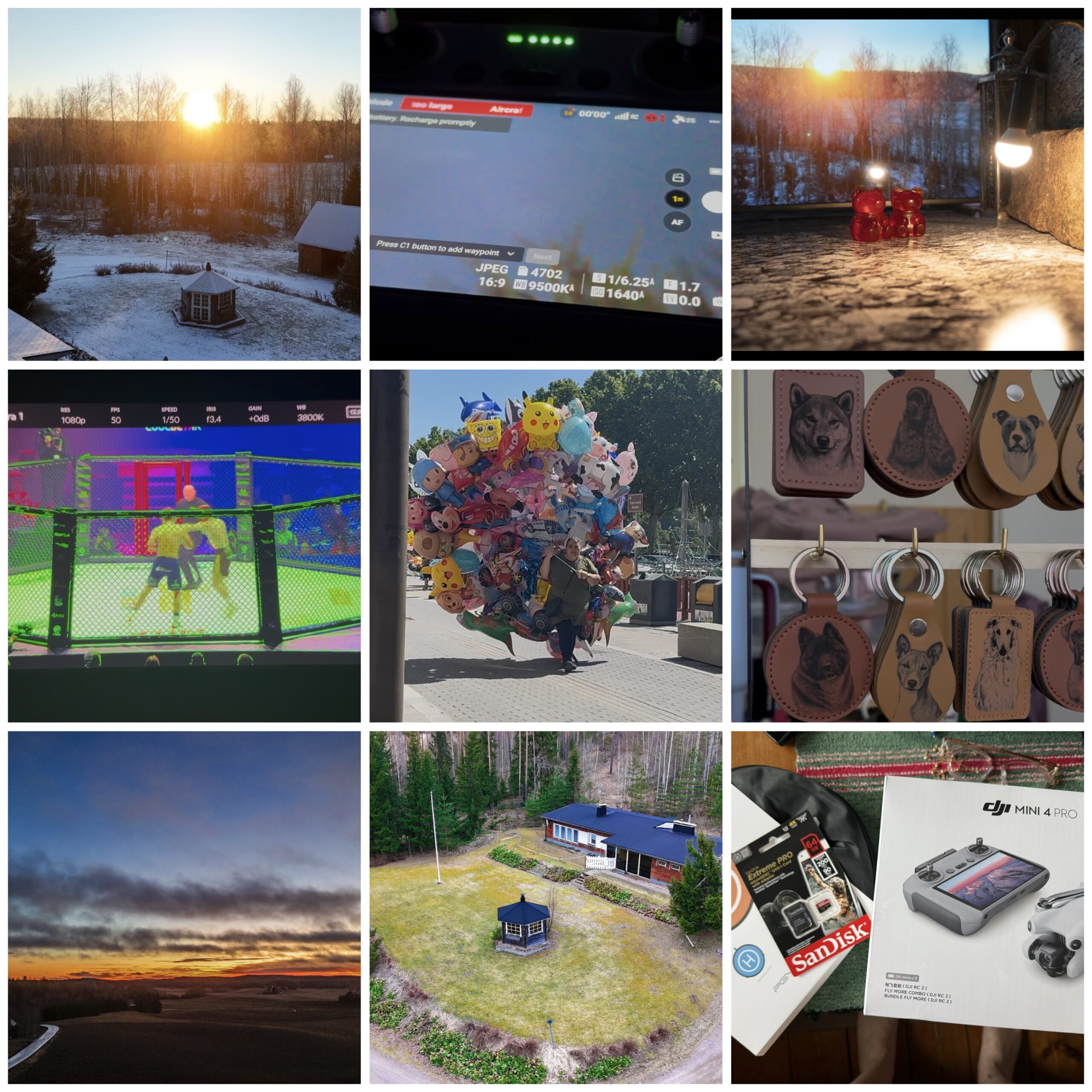 collage export 4b0f6646 a491 4e61 a7c6 dd5fa50ea647