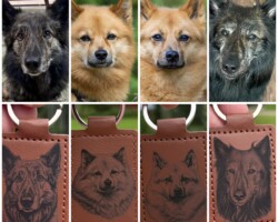 collage export b4b85a6c 1895 4cd9 8368 c2041c45f9de